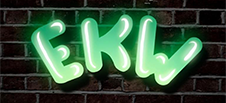 ekw-erfolgswerkstatt.de